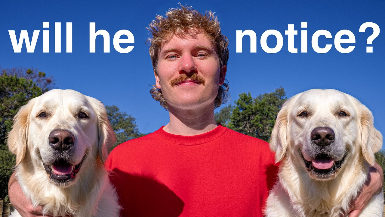 Я заменил питомцев соседей на двойников