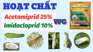 Hoạt chất Acetamiprid & Imidacloprid |  Quản lý chích hút: Rệp sáp, rệp dính, rầy xanh, bọ trĩ,...