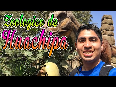 DINOSAURS At The HUACHIPA Zoo 