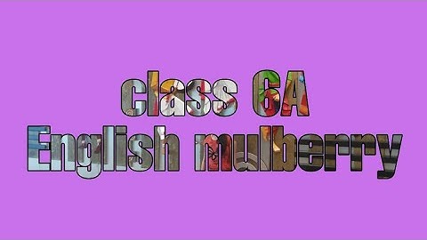 class 6A English mulberry Chapter 2 The Cherry Tree Video 1