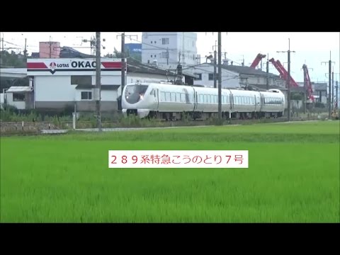 ２８９系特急こうのとり７号　４両運転