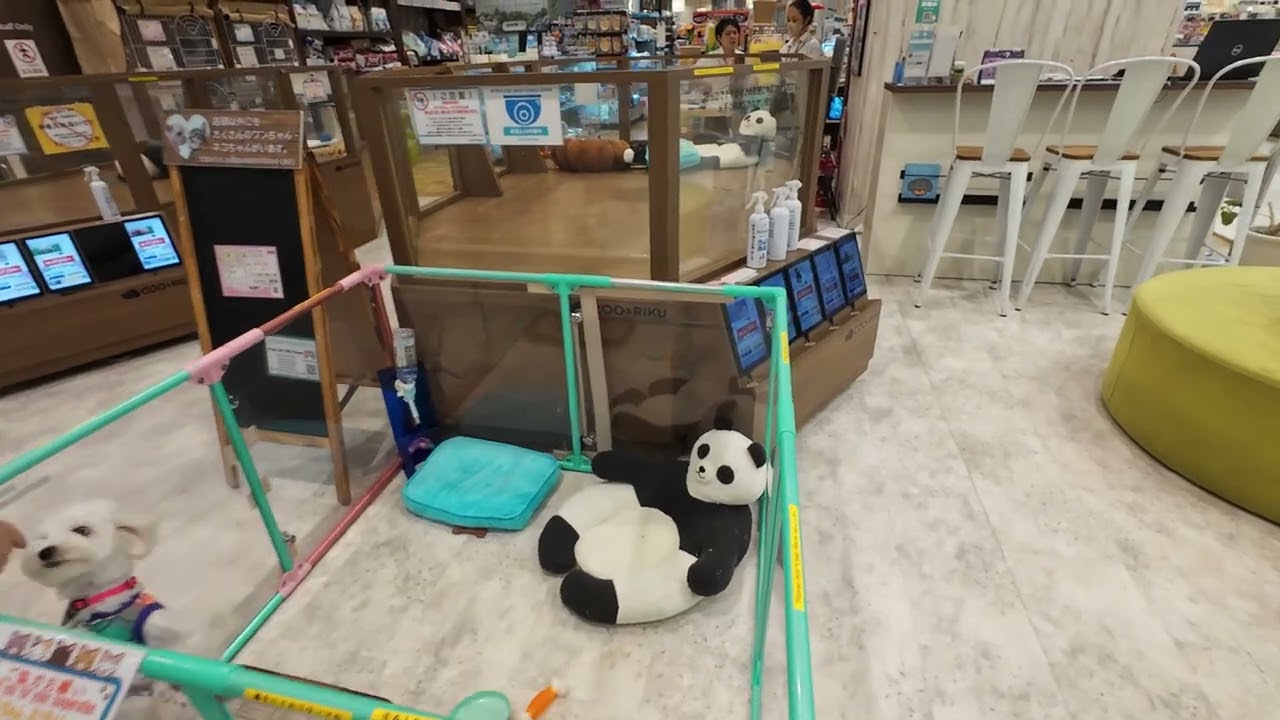 Japanese Pet Shop - Okinawa American Village