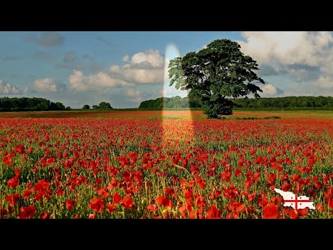 ვაჟა-ფშაველა - გულს