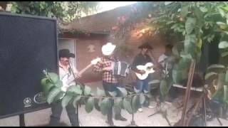 La vida mafiosa/los canelos de durango