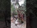 Водопады
