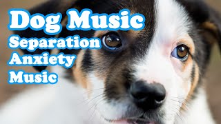 Dog Music for dogs that are alone at home, calm them down. Separation Anxeity Music