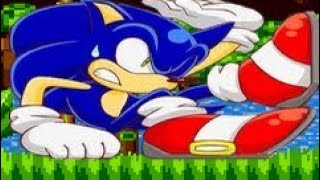 Sonic VS Camera - Single Player Run (Sonic Hack)