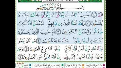 #سورة العنكبوت #الآيات من 1_4#تلاوة الآنسة سمية مع شرح أحكام التجويد