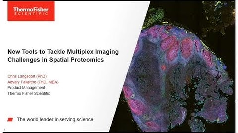 Panel Presentation: New Tools to Tackle Multiplex Imaging Challenges in Spatial Proteomics
