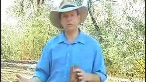 Learn to Playthe Didgeridoo--A Quickstart Guide