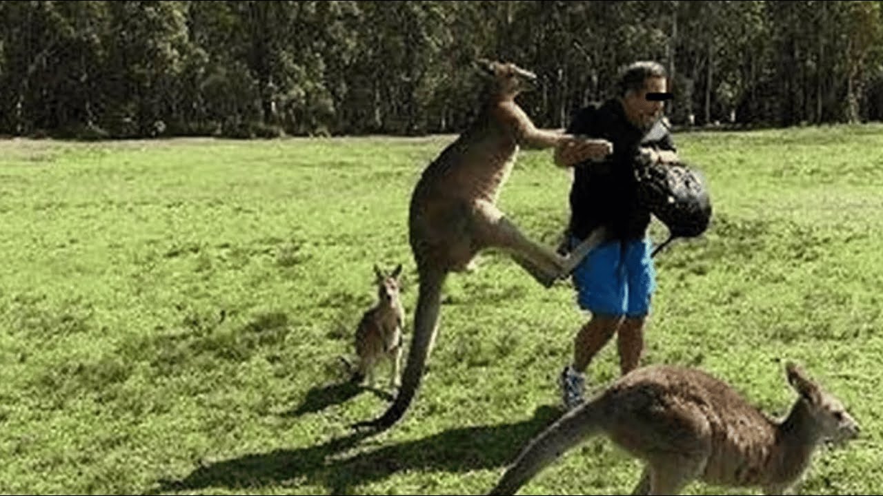 West End Blend - "Kane Guru" [Non Official Audio]