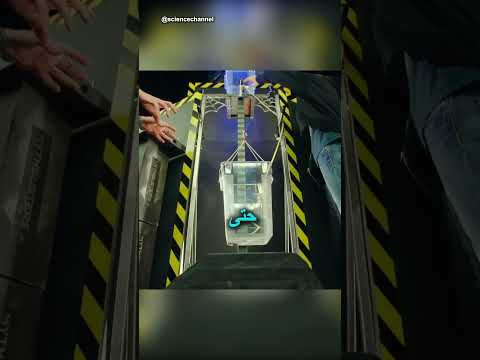 هل خيوط العنكبوت أقوى من الفولاذ