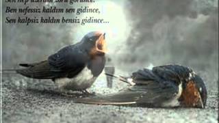 Asi Stayla [Agladim Anne]