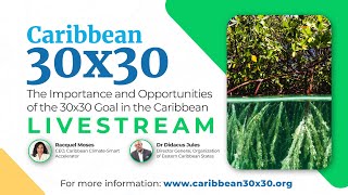The Importance and Opportunities of the 30x30 Goal in the Caribbean