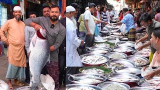 ১৫ কেজি ওজনের কাতল মাছ ঢাকা সিটির মধ্যে সবচেয়ে বড় মাছ বাজার!Fish Update 2024 Dhaka Nayabazar