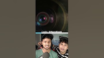 Basic Objects In Macro