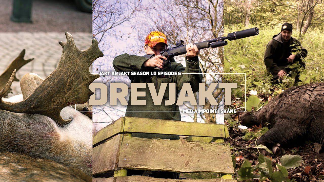 Drevjakt med Aimpoint – Vilt i varenda buske | Jakt är Jakt