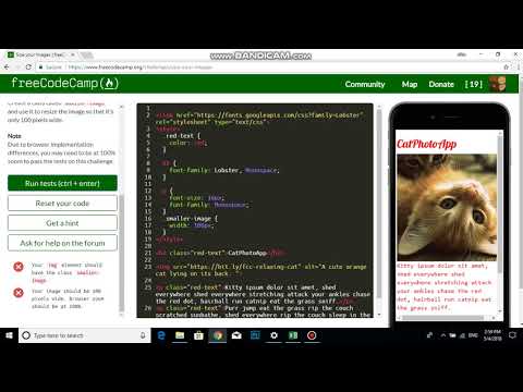 Size your Images   Free Code Camp
