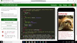 Size your Images   Free Code Camp