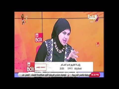 تفسير رؤية طائر غريب في المنام مع مفسرة الأحلام صوفيا زاده