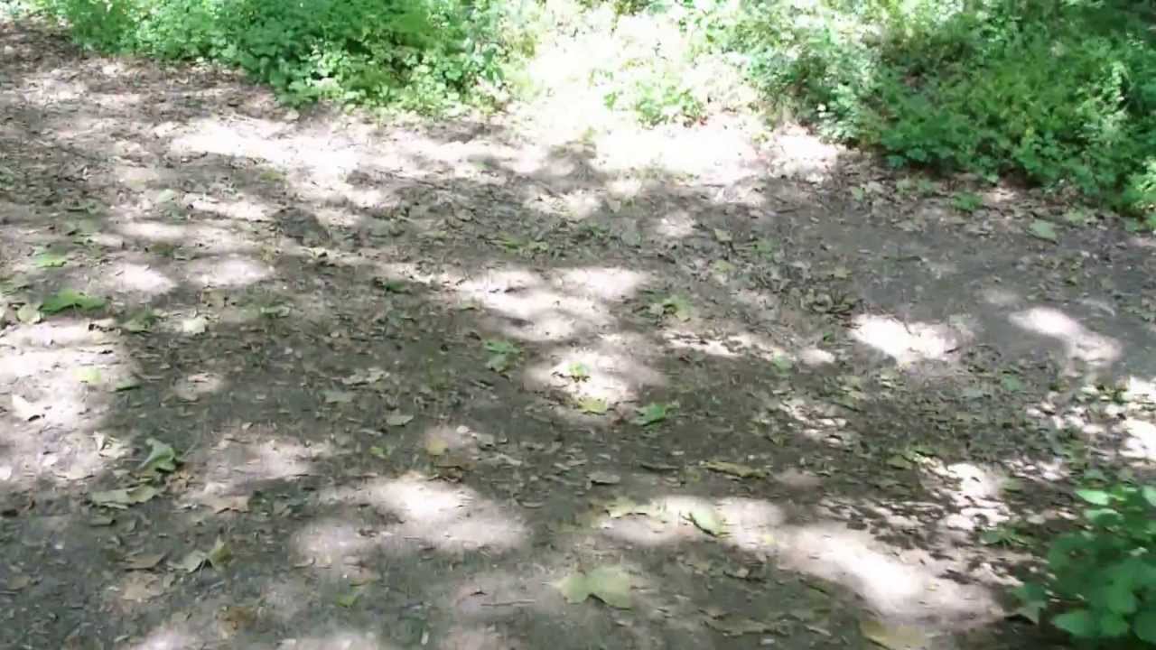 Oques - YouTube