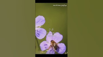 ايات من سورة آل عمران اسمع 🎧وادعو الله سبحانه وتعالى🤍
