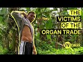 Organ thieves inside the dark world of organ trafficking  organ trade documentary