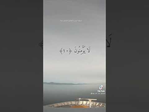 الشيخ فارس عباد