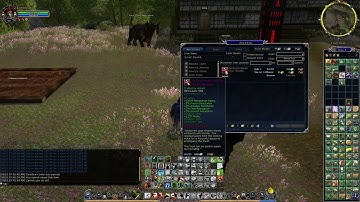 LOTRO Inventory Tips and Auction House tricks