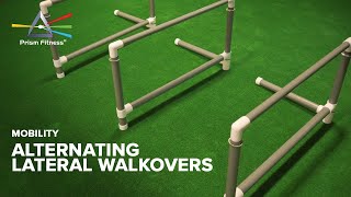 Hurdle Exercise: Alternating Lateral Walkovers