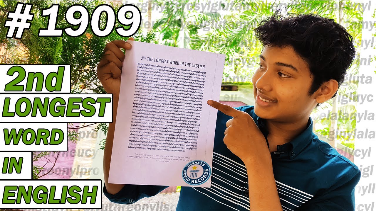 What is the longest word. Longest English Word. The longest Word in English. The longest Word in the World. The longest Word in Welsh.