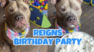My Dogs EPIC Birthday Party Surprise
