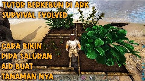 TUTORIAL BUAT TEMPAT COCOK TANAM/FARM DI ARK SURVIVAL EVOLVED Eps.7