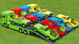 Transport Colored Pickup Cars & Watermelons With Man Trucks - Farming Simulator 22