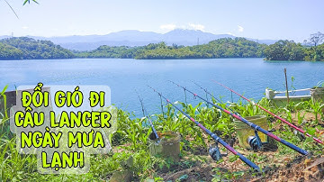 Cuối tuần đi câu lancer ngày mưa lạnh kiếm con cá Chép và cái kết | Tê Ta Vlog