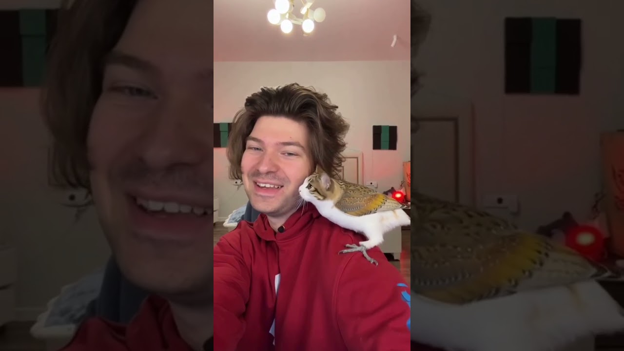 Фиксай играет с Мяулом 🥰