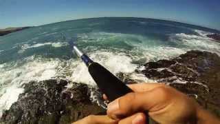Rockfishing with plugs on Fuerteventura