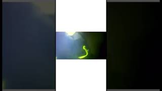 Sobrevivió 3 Días En Un Barco Hundido