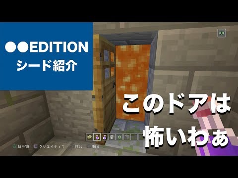 Psvita マインクラフト セット