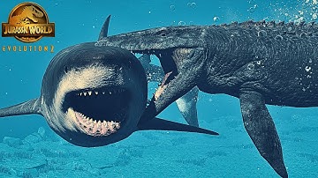 🦈 MEGALODON & MOSASAURUS vs. All Marine Reptiles |Sea Dinosaur Monsters Hunt & Fight|