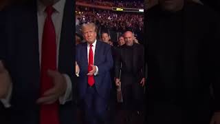 Donald Trump arriving at #UFC295 alongside Dana White and Kid Rock 🔥 #Shorts