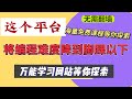 小白必看!史上最全能学习网站|这个网站将编程上手难度降到脚踝以下,并有海量免费最新课程等待探索!#编程 #免费信息 #免费课程 #python #docker #比特币 #区块链