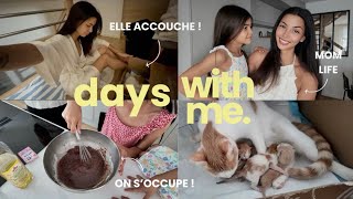 Vlog | Les Bébés Sont Là !! 🐈 Mom Life Et On S’occupe ! Lisa Ngo