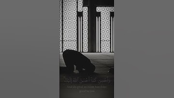 تلاوة عطرة #قرآن #viral #quran #راحة_نفسية #تلاوة_خاشعة