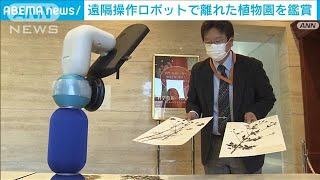 遠隔操作ロボットで鑑賞実験　科博ら3施設結び(2021年12月9日)