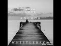 Anchor by Novo Amor (with LYRICS)