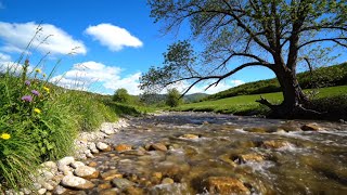 Calm River Flowing Through Green Forest - Relaxing Birds and Water Sounds | 1 Hour