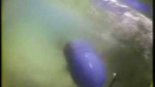 CoRMaT tidal turbine.wmv