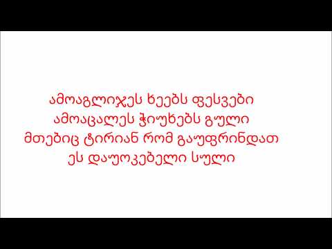 ბაჩო მაისურაძე - ალუდას ხსოვნას (ლირიკა/ტექსტი)