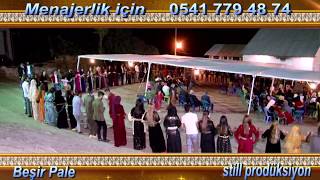 YÜKSEKOVA DÜĞÜNU BEŞİR PALE